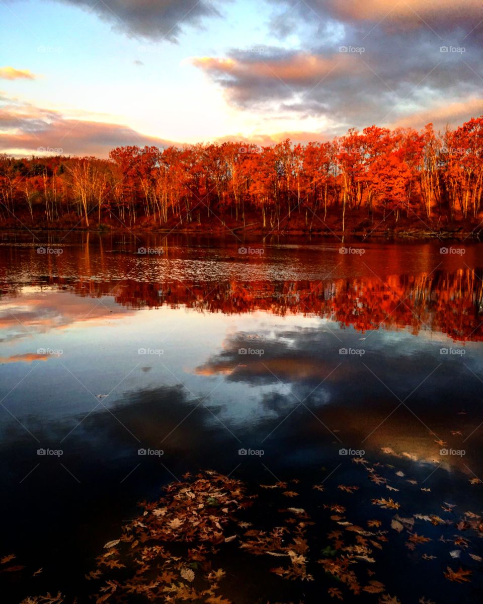 Fall morning