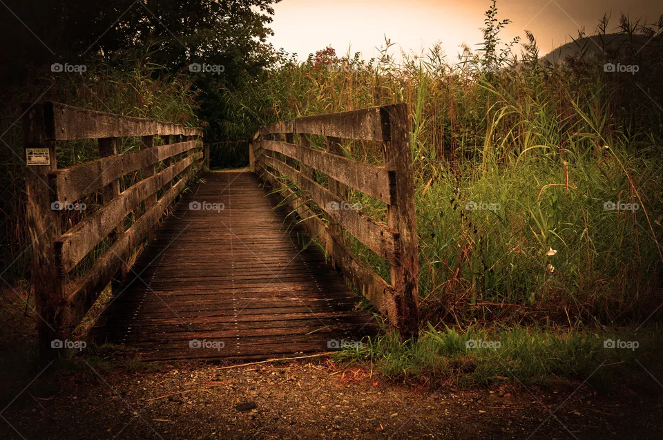 Wood Bridge