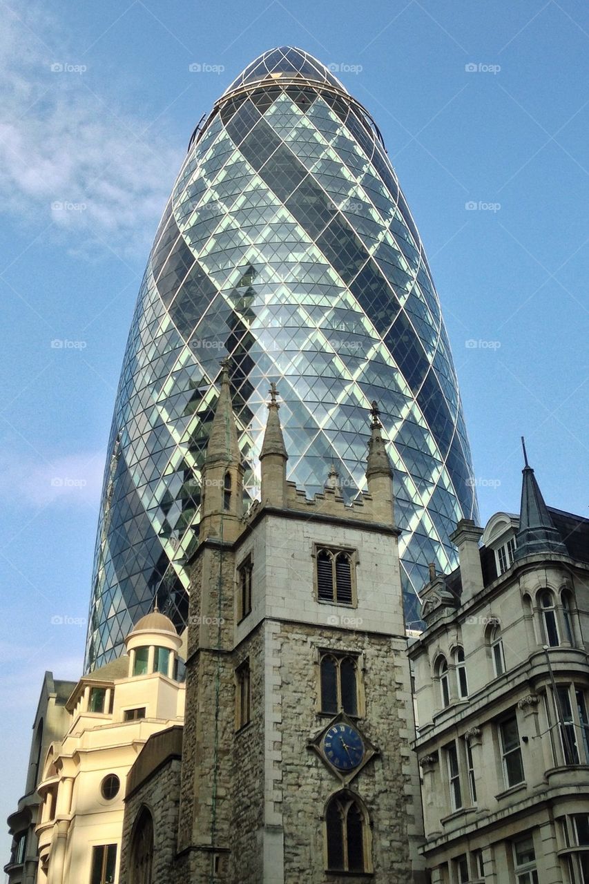 The gherkin 