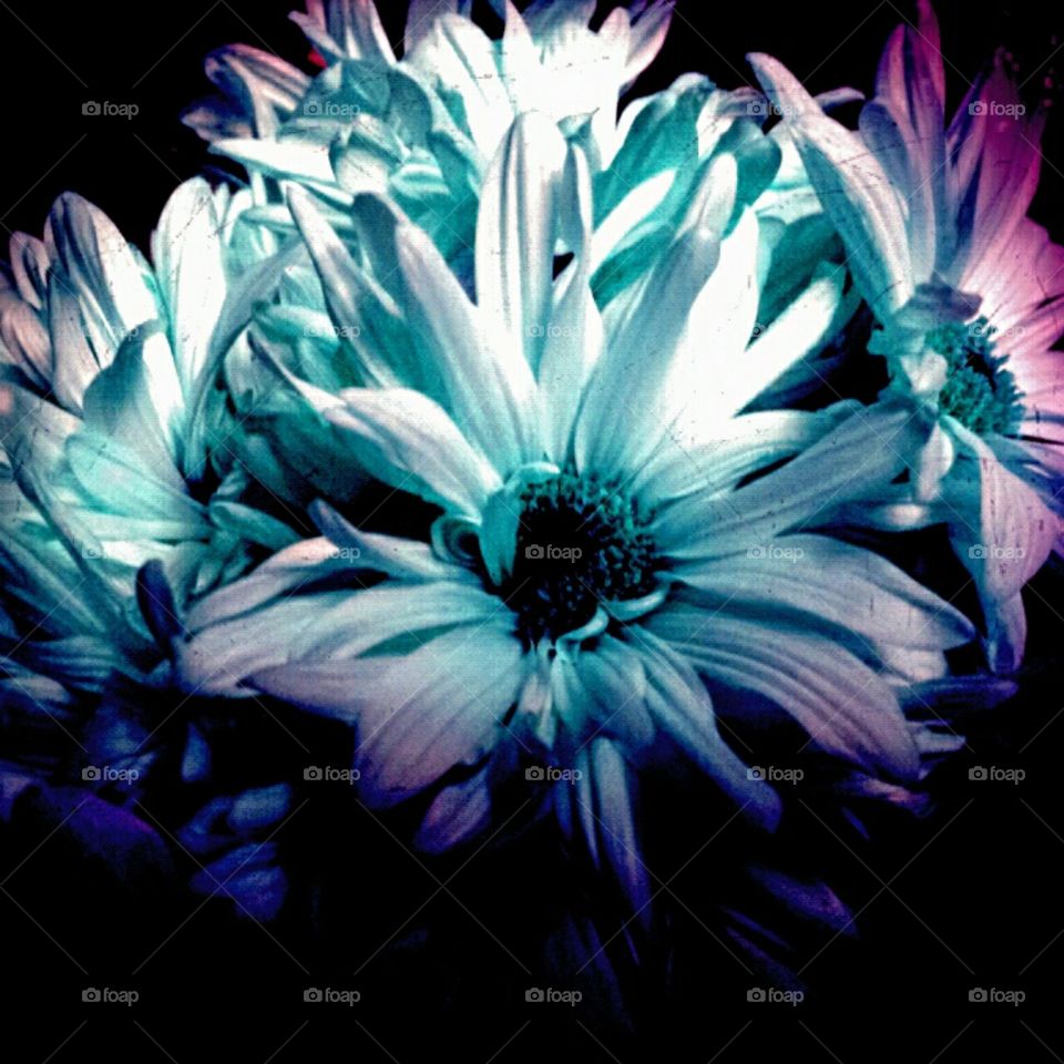 priceless. lighting effects