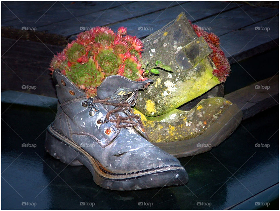 Environmental solution