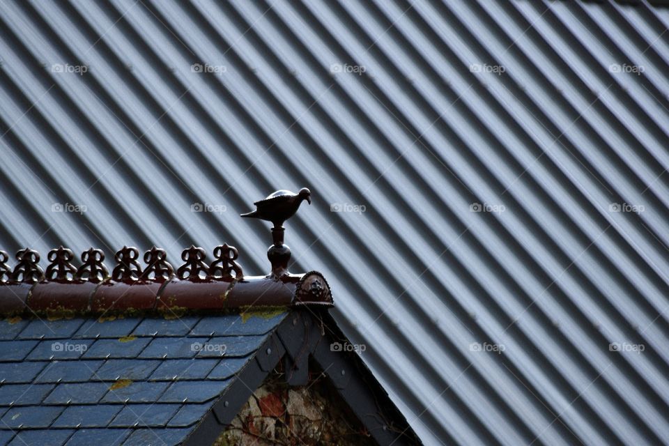 small clay pigeon on a grey roof