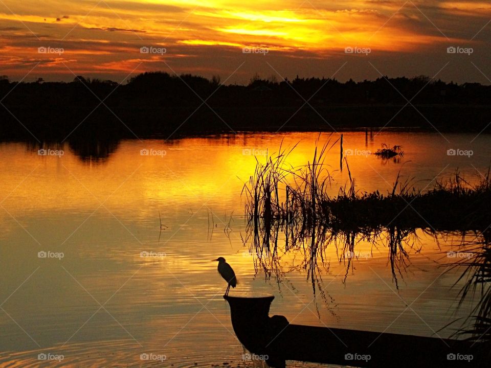 reflections by the lake