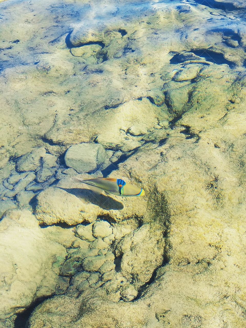 Upload photo on the week