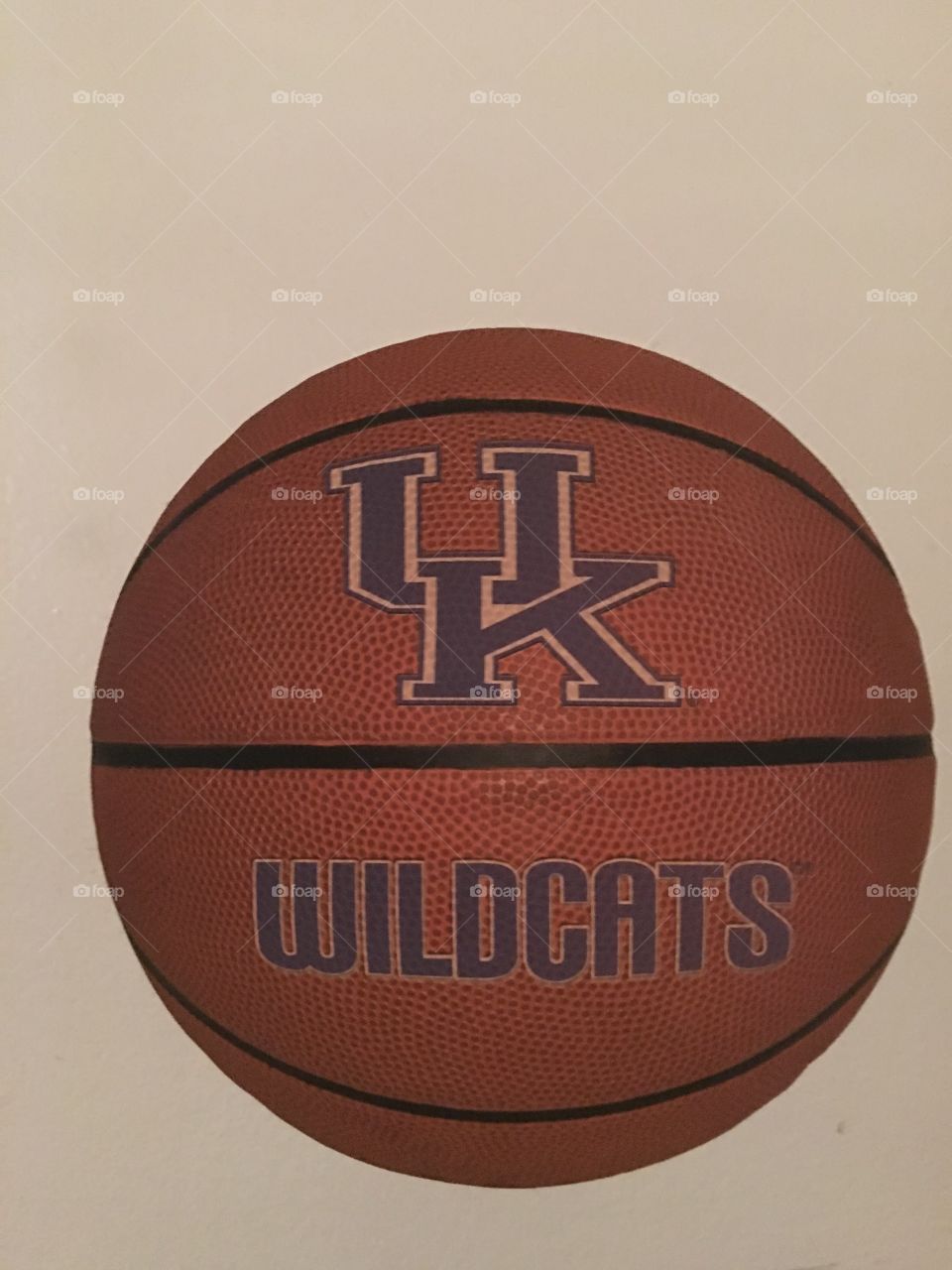 Wildcat basketball 