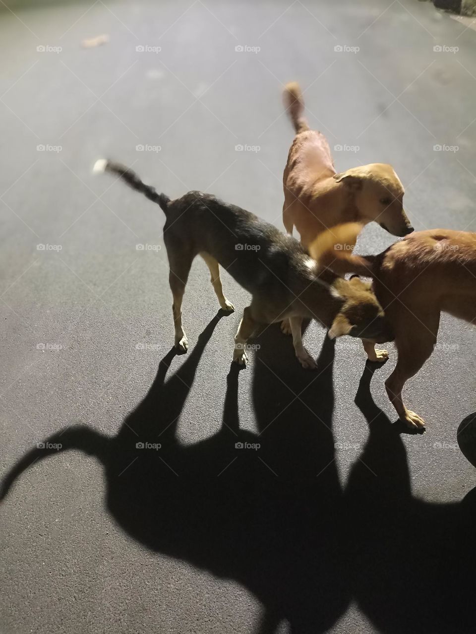 mom don't go please let's play.