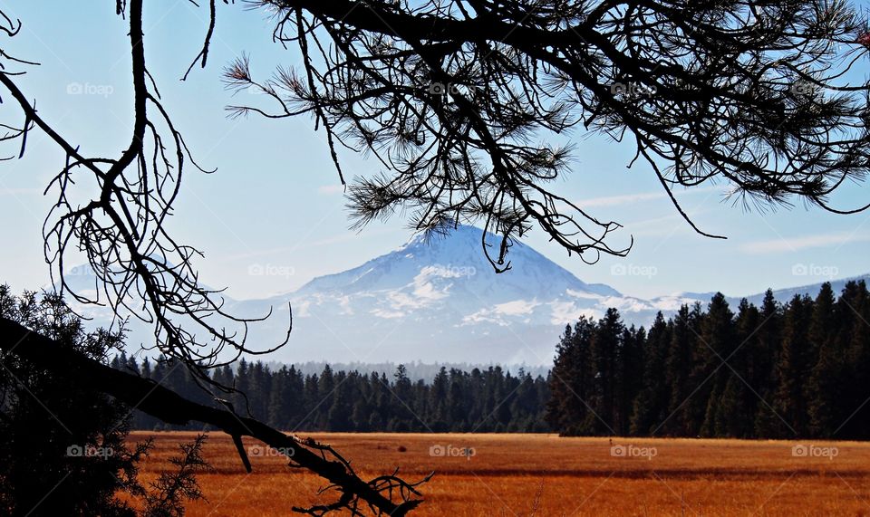 The North Sister in Central Oregon’s Cascade Mountain Range framed by pine tree branches on a sunny winter afternoon. 