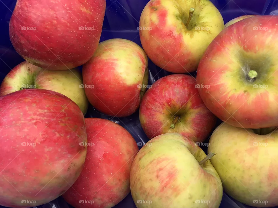 Apples