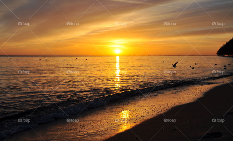 Sunset, Dawn, Beach, Water, Sun