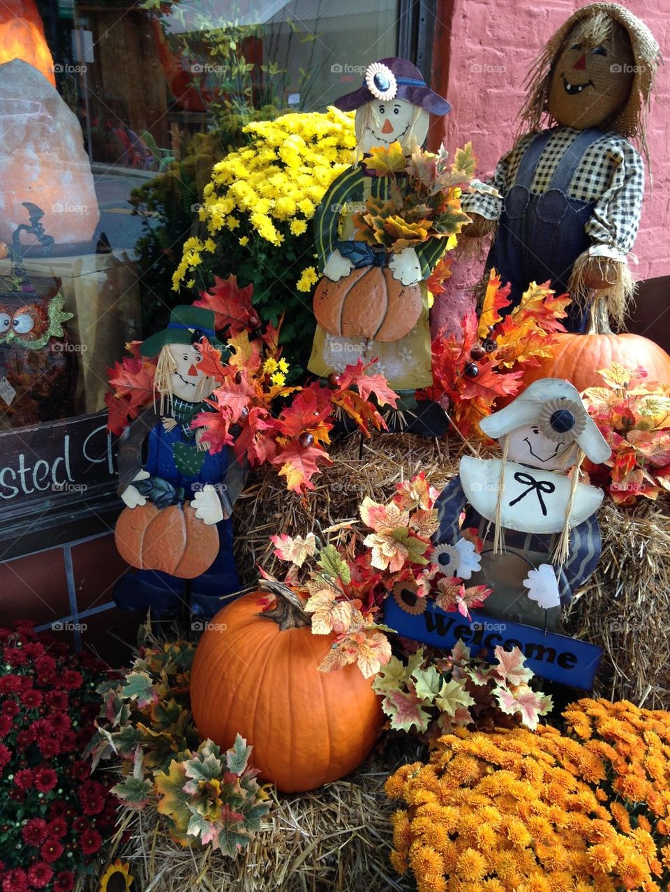 Fall flowers and Pilgrims