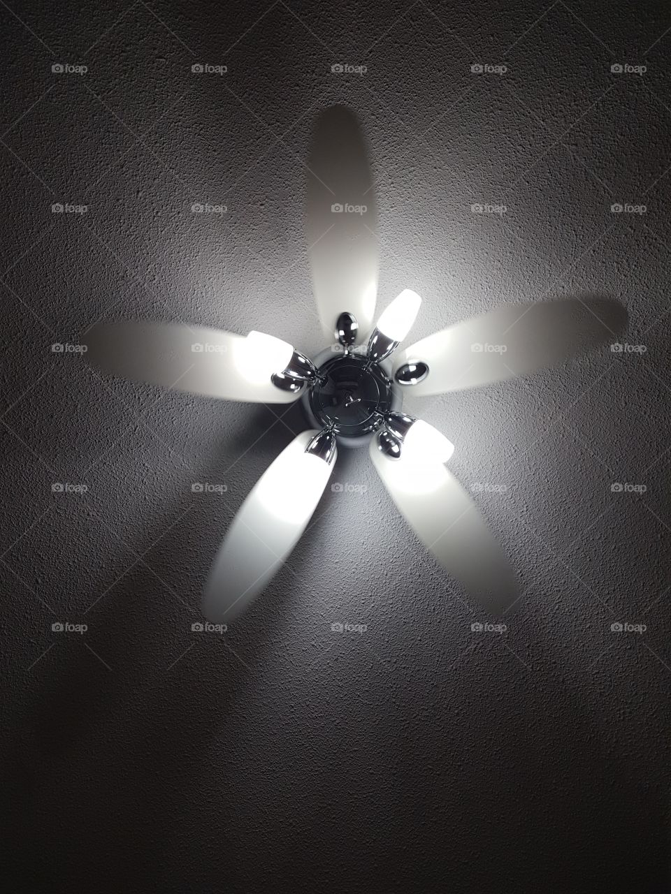 fan