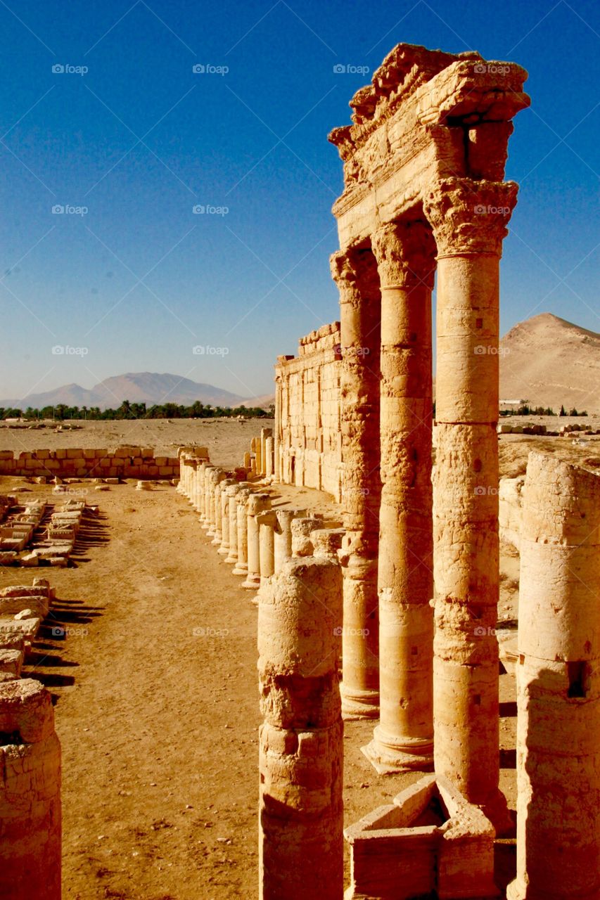 Palmyra,Syria/ is this ancient city still there? 