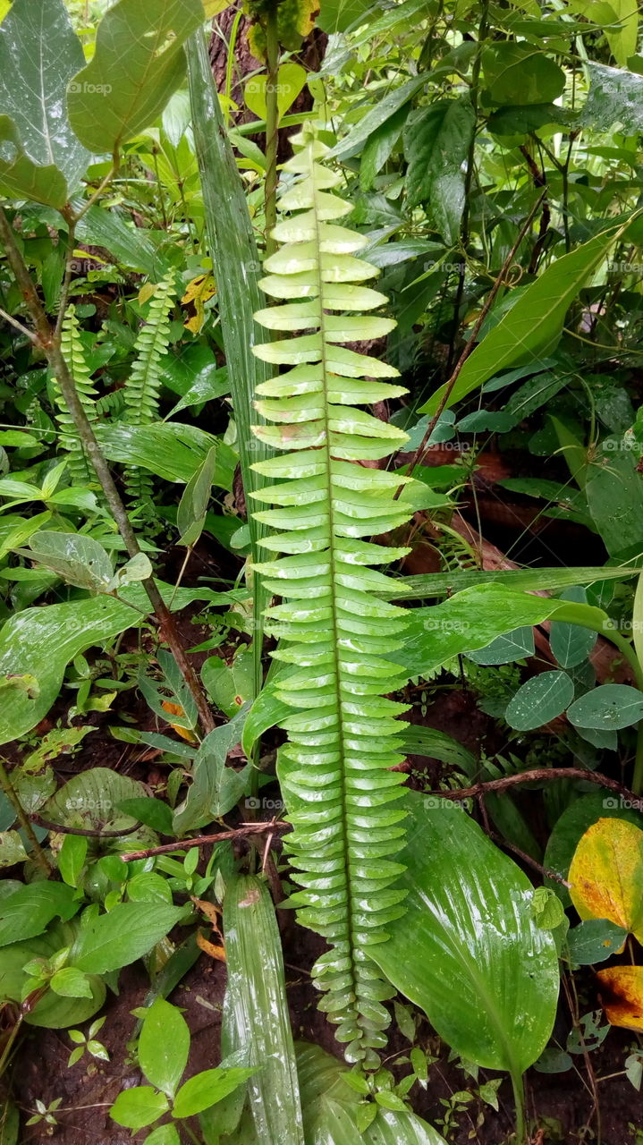 standing out among the rest, standout