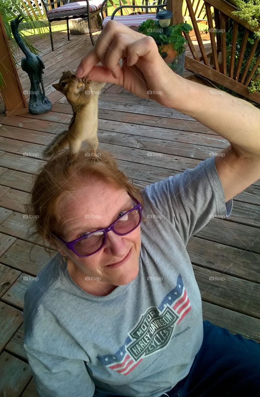 There Is A Chipmunk Standing On My Head!