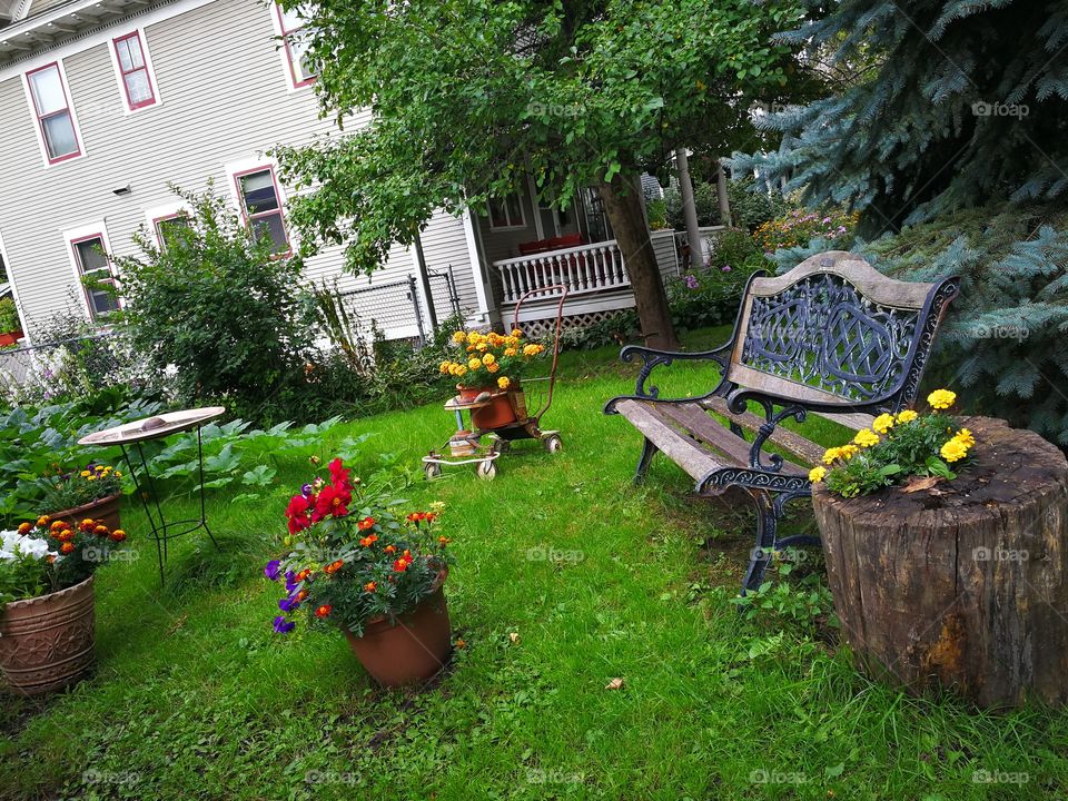 The garden where you will forvet the world and find yourself