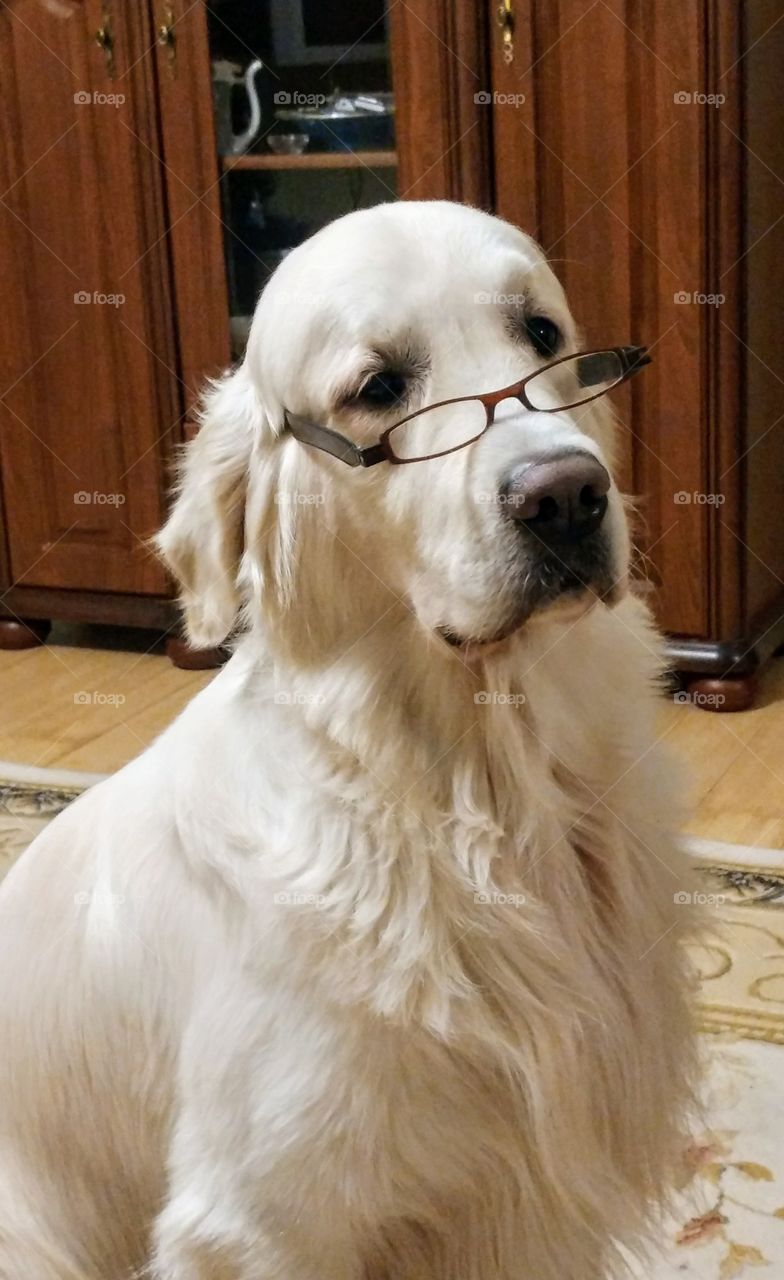 Professor.