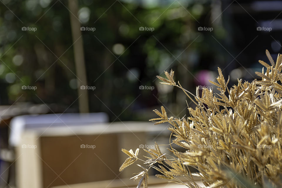 The dry grass for decoration in market.