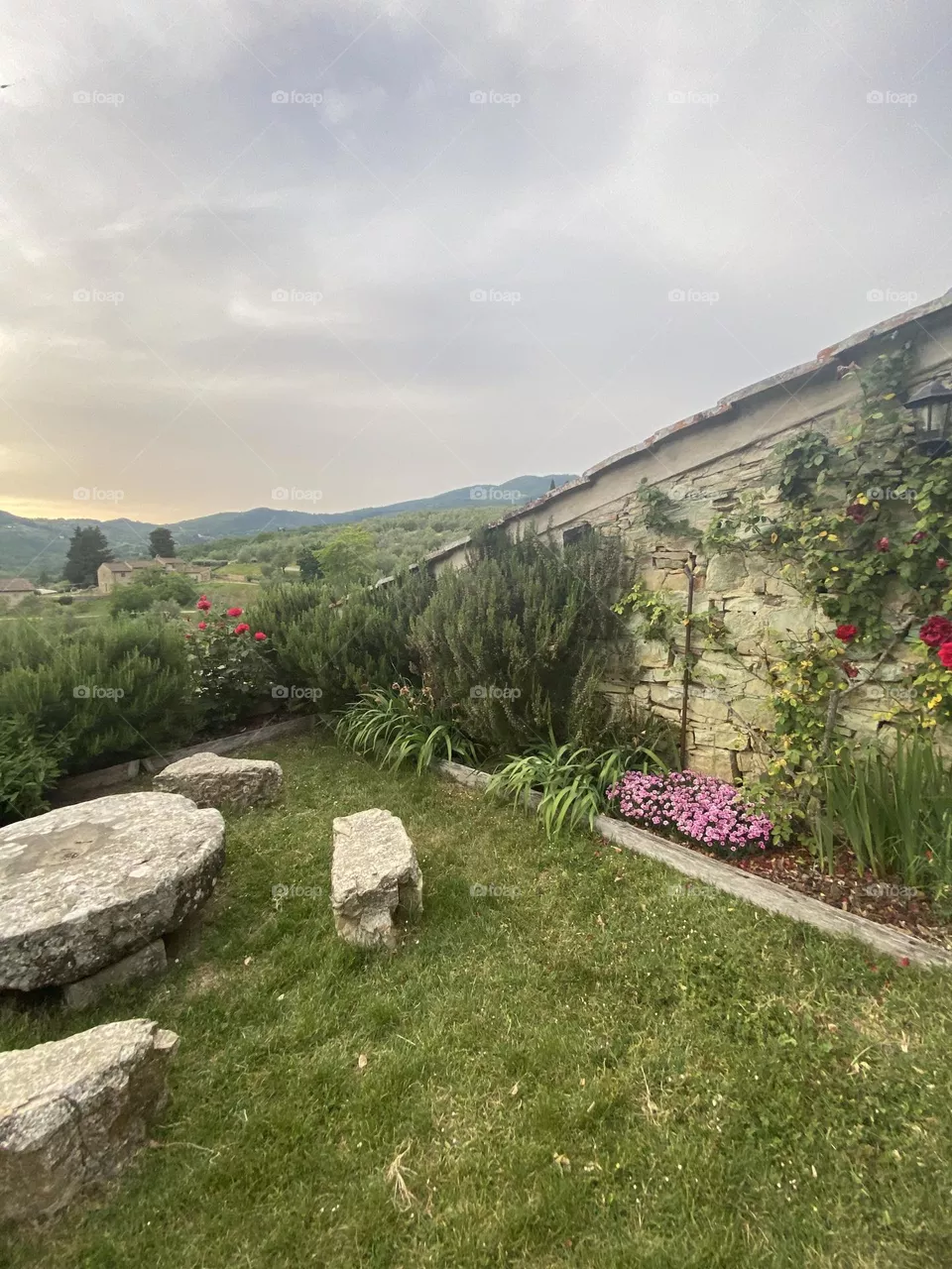 Garden in Tuscany vineyard - Italy