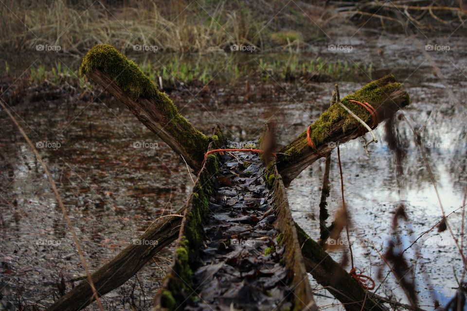 Nature, leake