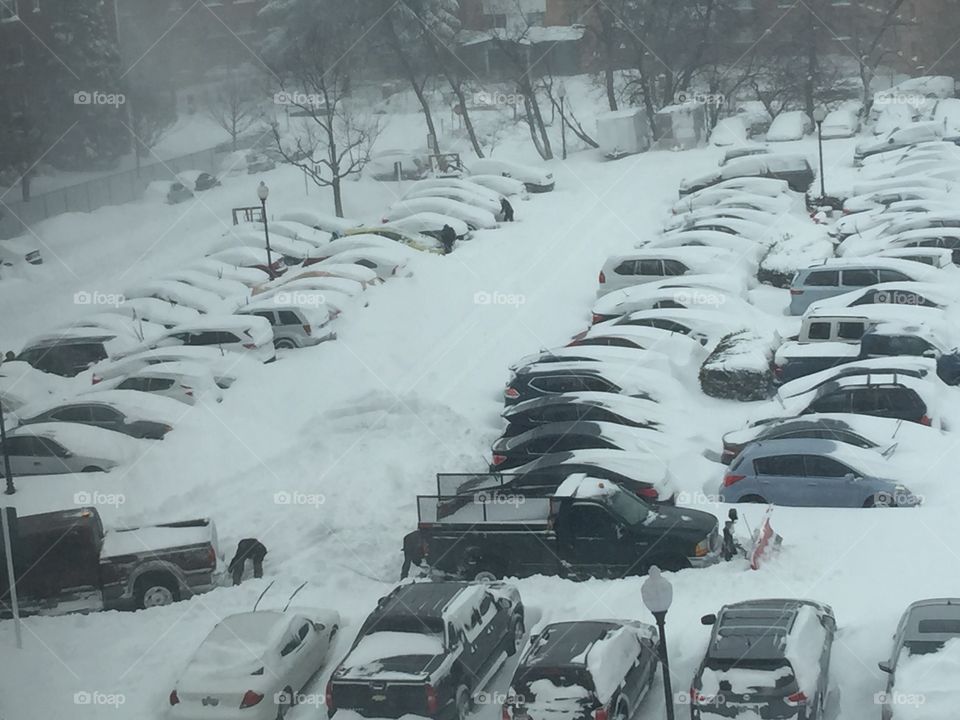 Snow storm in Arlington, VA 😱