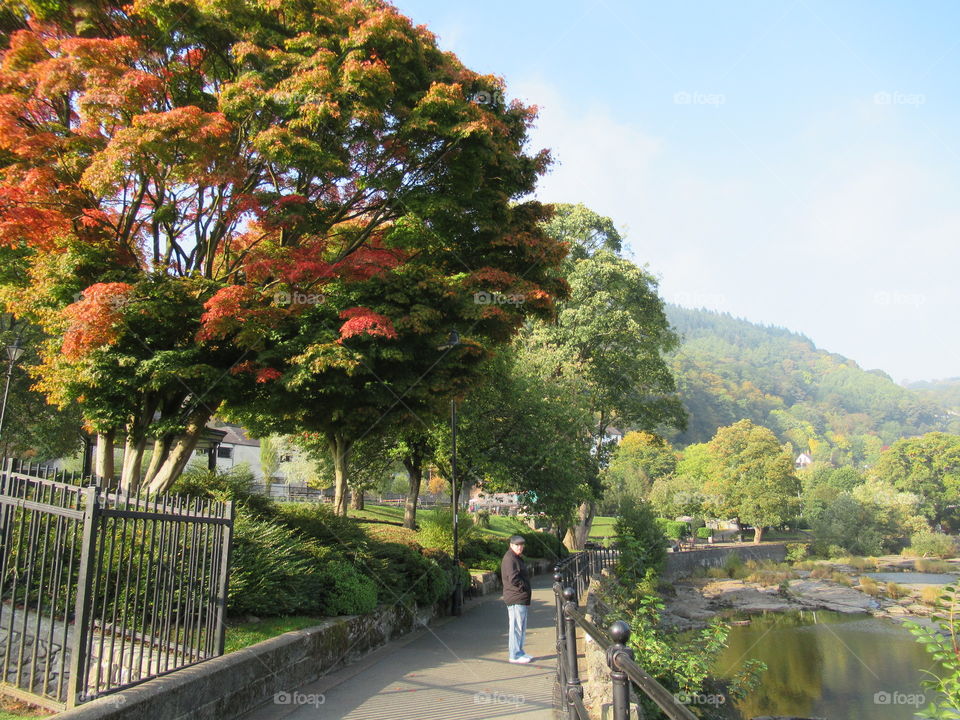 River dee. with a stunning autumn tree