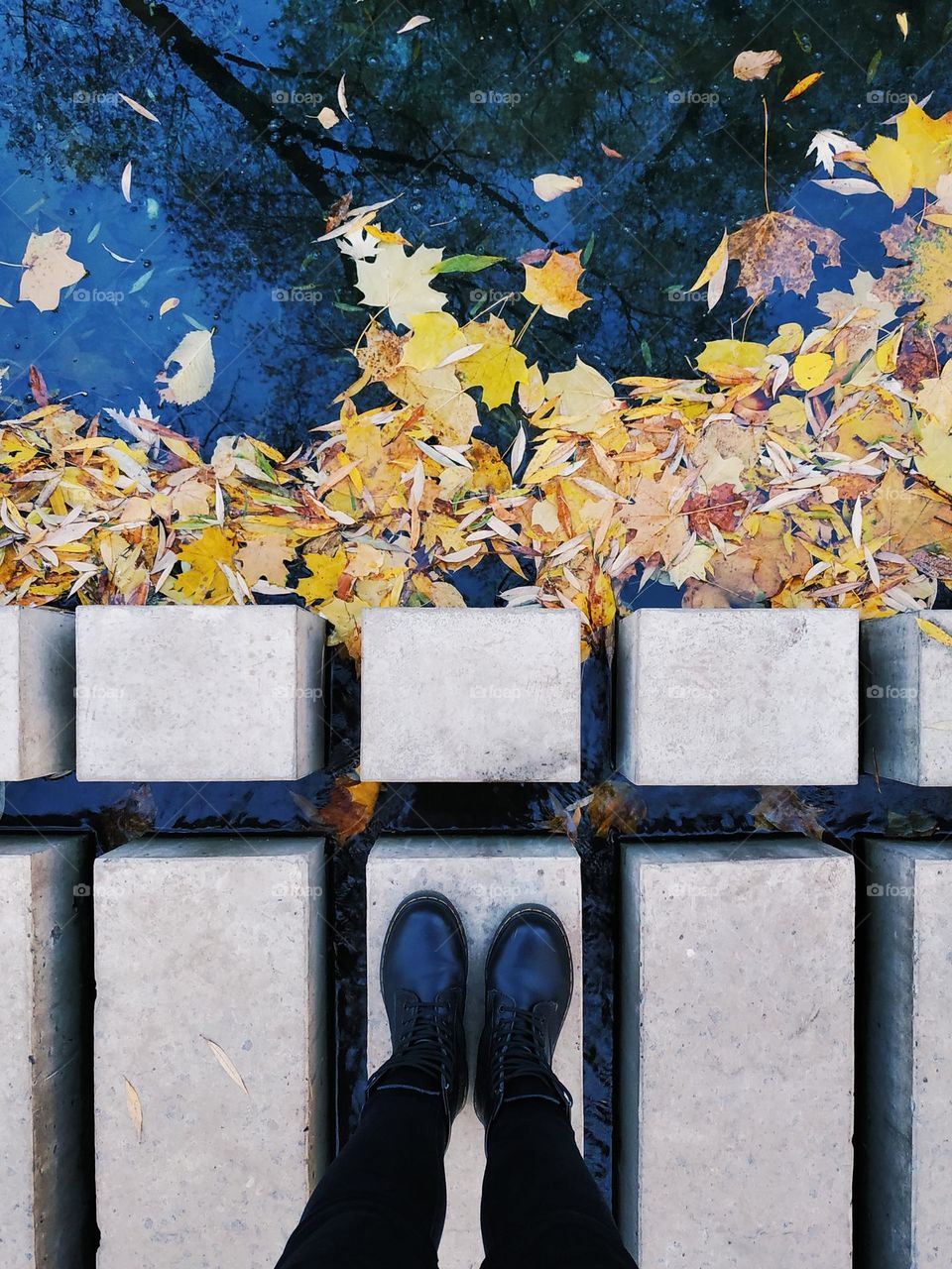 Autumn yellow leaves in the water.