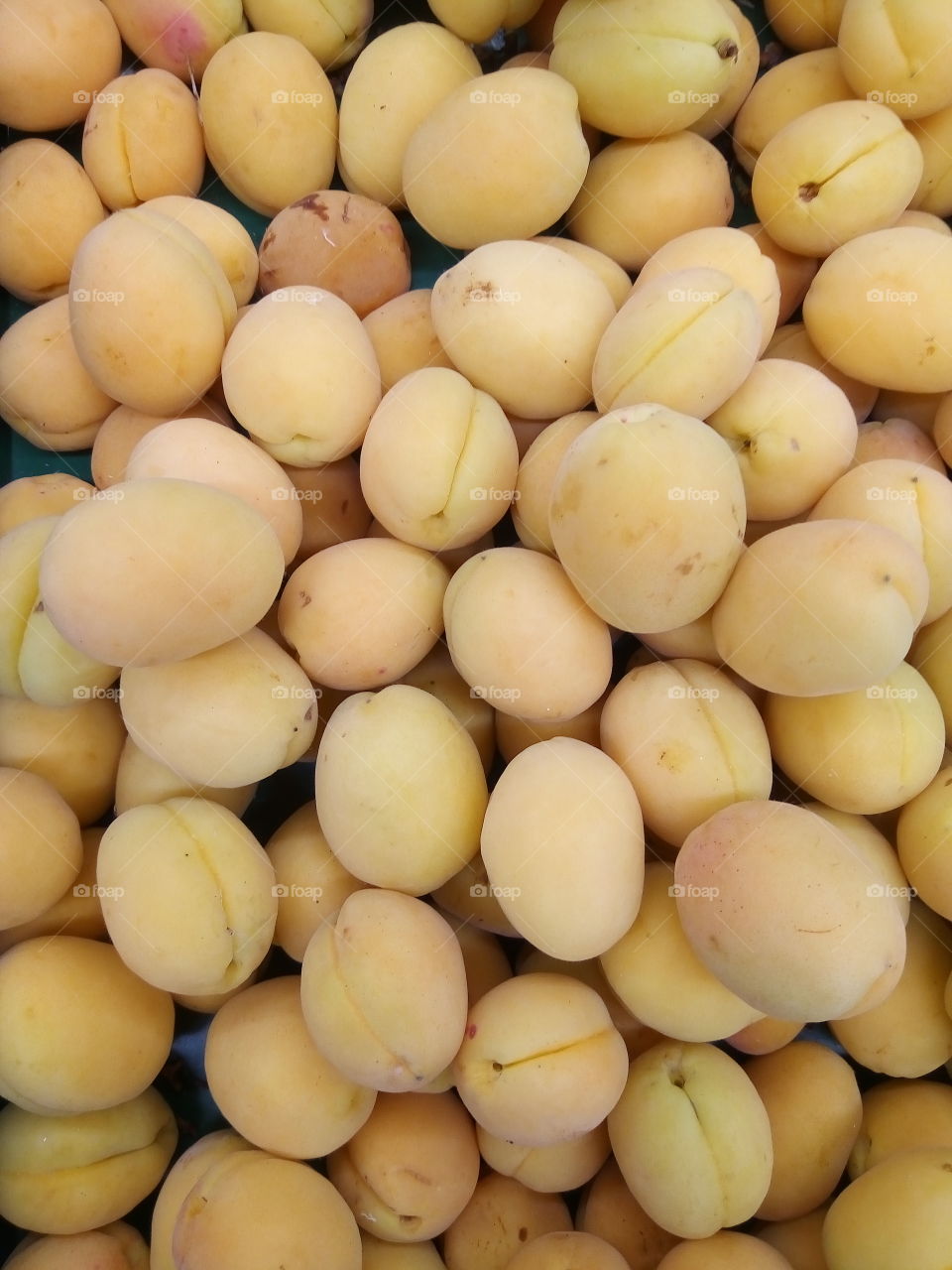 абрикосовый