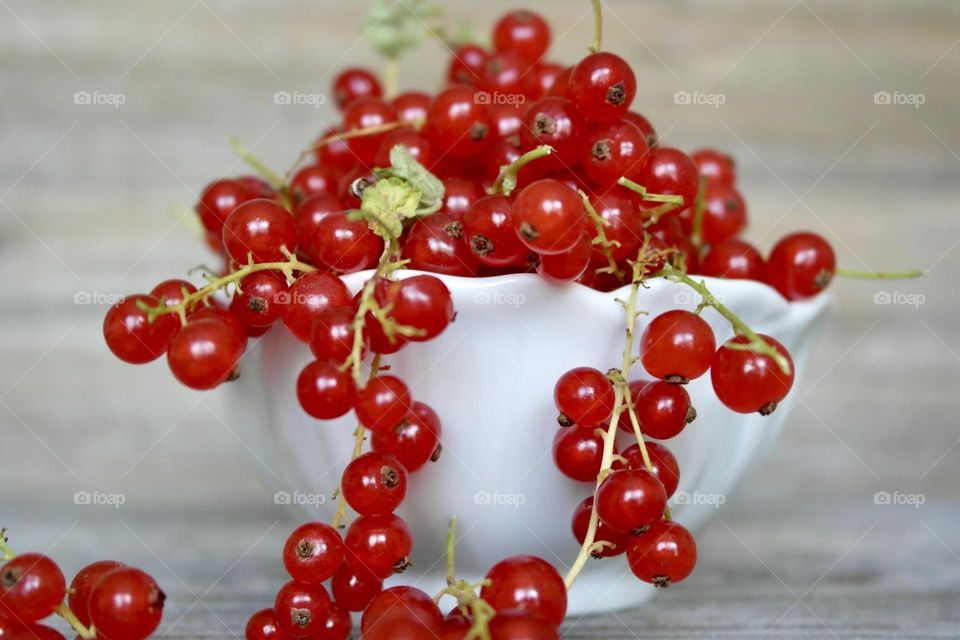 Red currant 