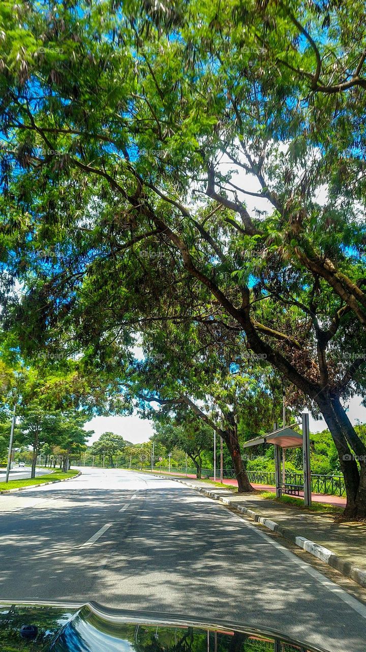 In the city and in the countryside,
through the streets and avenues,
on foot, by car or bicycle,
on the ascents and descents,
always remember that in Traffic, Meaning is Life!