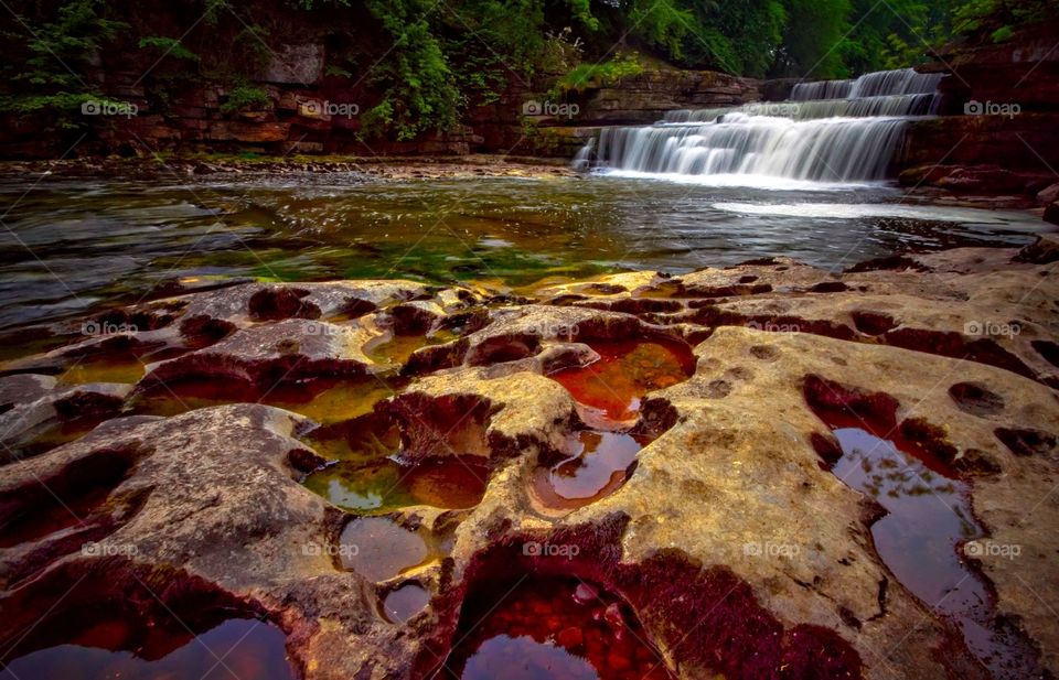 Scenic view of waterfall