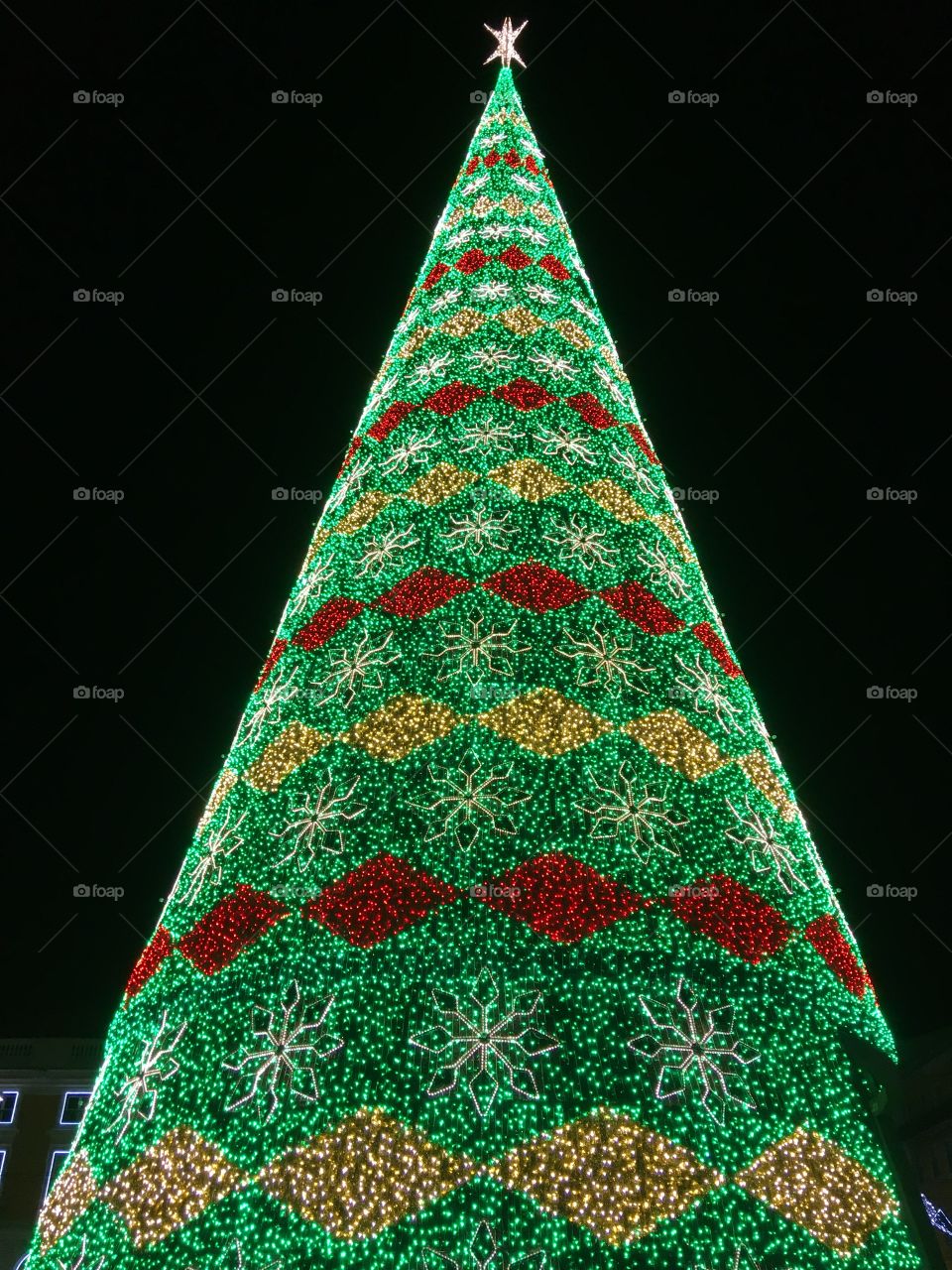 Lighted Christmas Tree in the night 