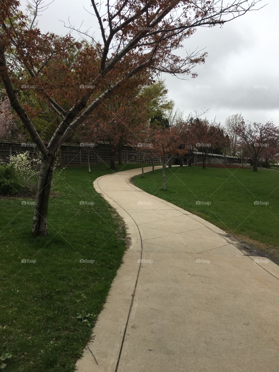 Path to the park 