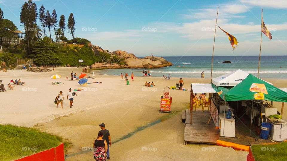 Florianopolis surfing beach 