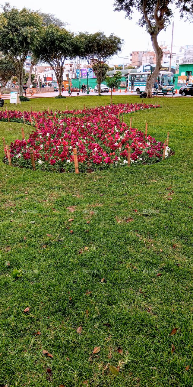 Singular and beautiful