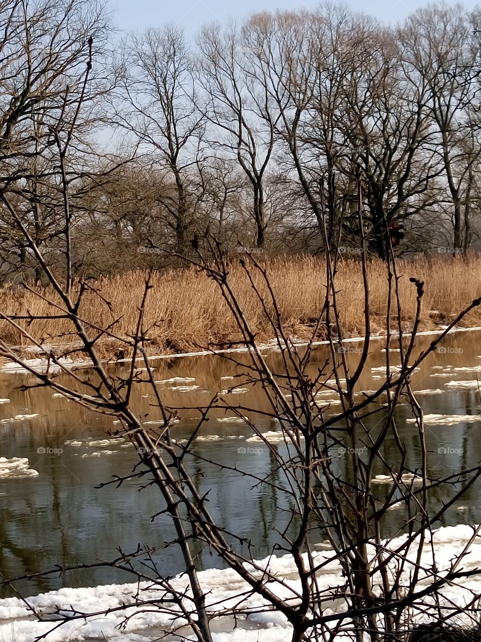 polish nature | river and the winter
