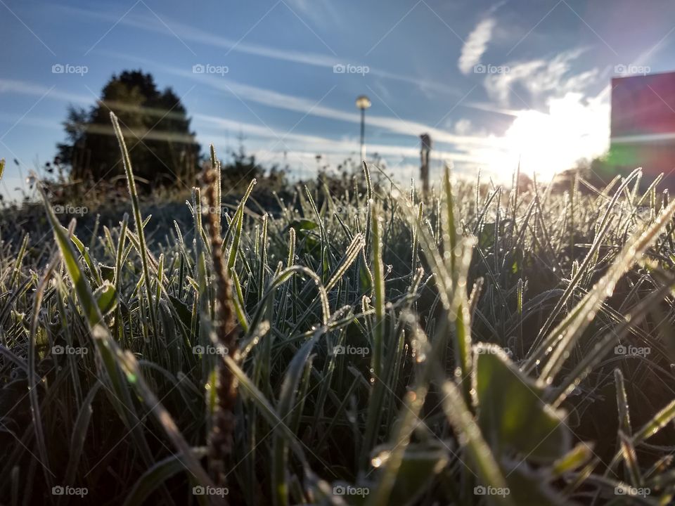 herbstmorgen