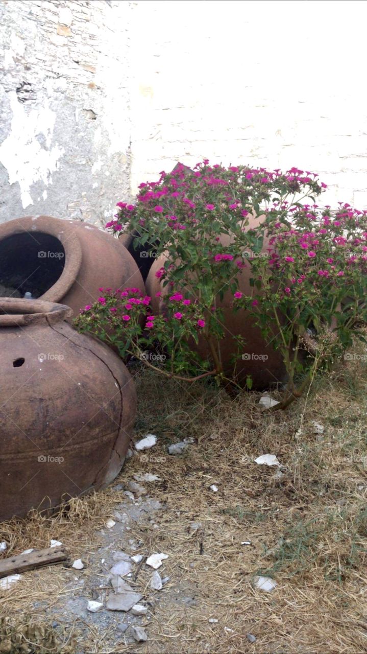 Omodos Trip Mountain Cyprus Summerlicious 2020