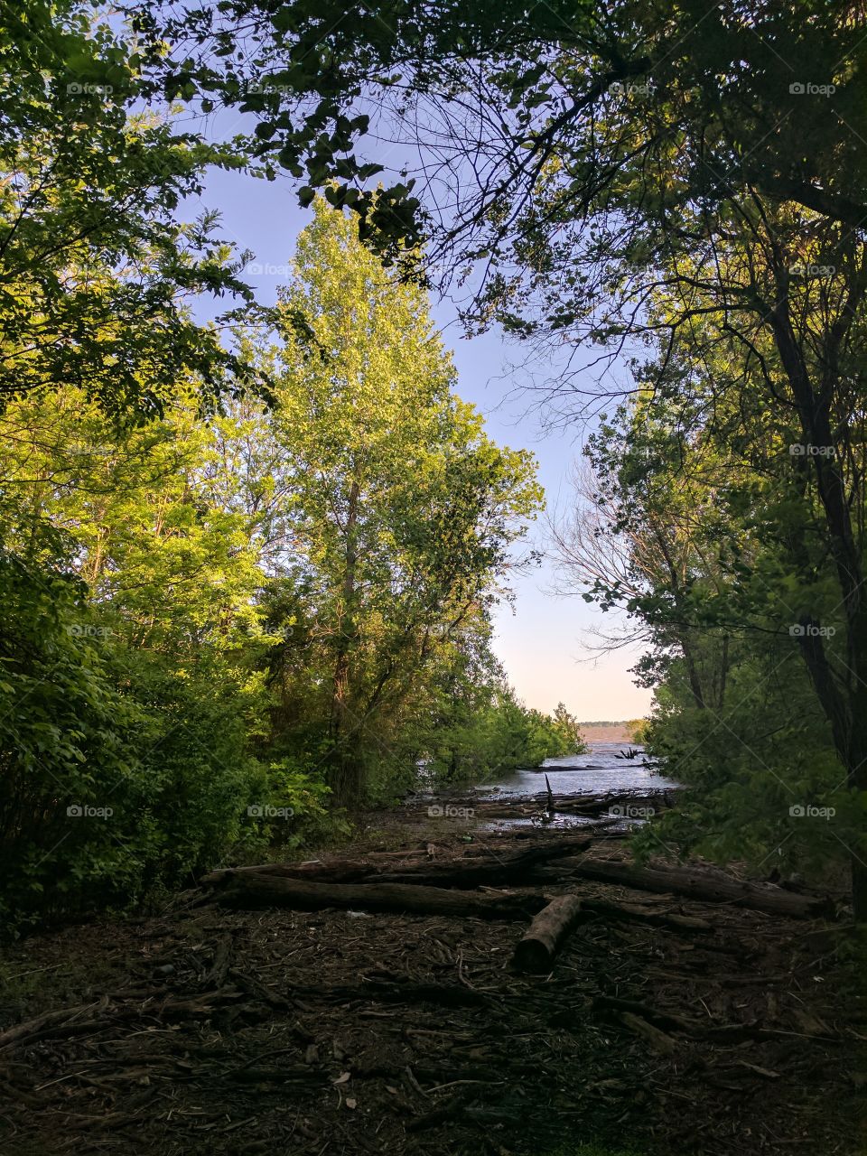 lakeside walk