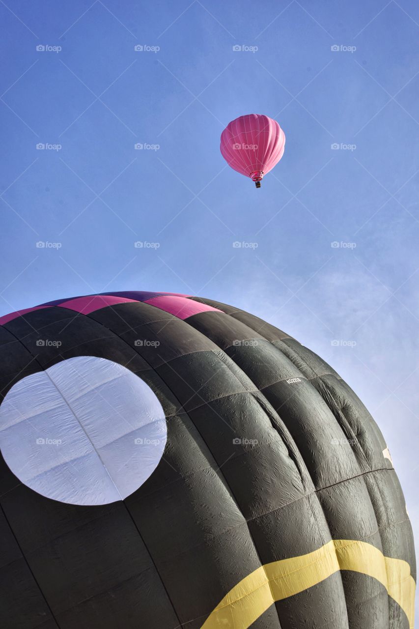 A hot air balloon festival in the winter creates a colorful scene. A pink balloon floats up and away.