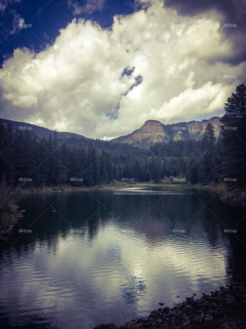 Lake reflection 