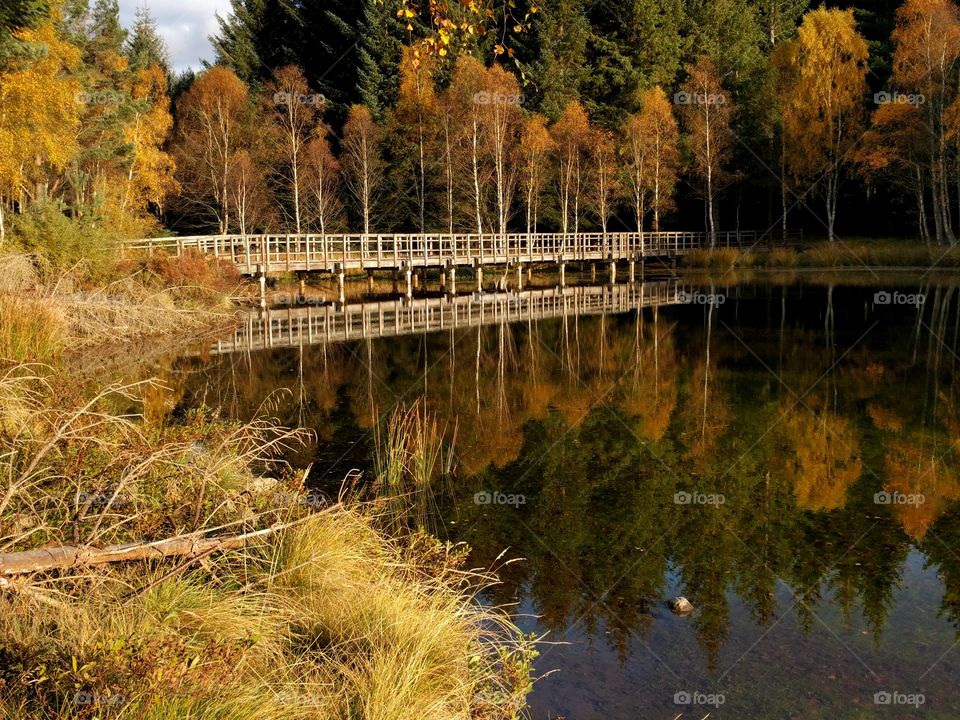 A wooden bridge reflected in a lake