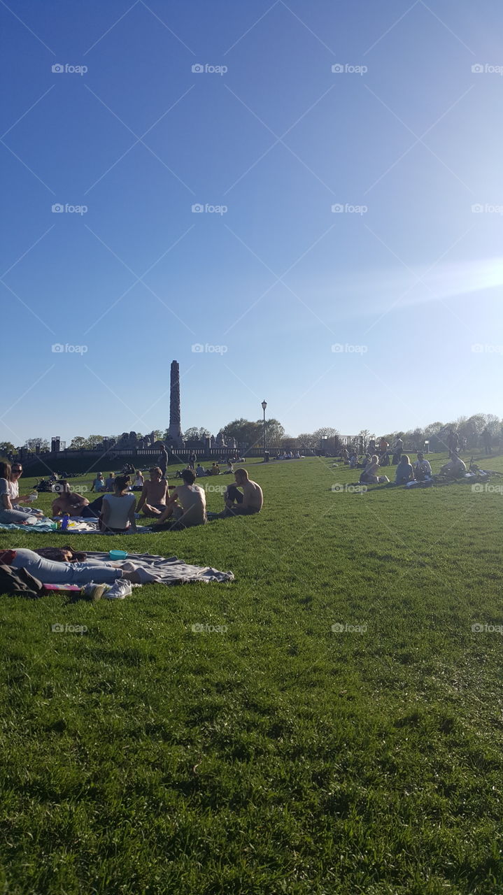 Crowd in Frognerparken. Oslo, Norway