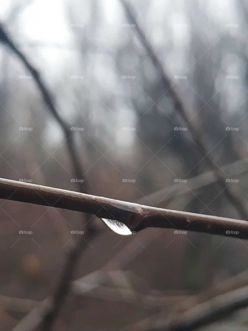 water drop