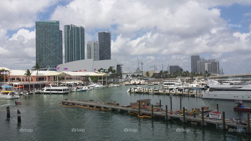 Miami harbor