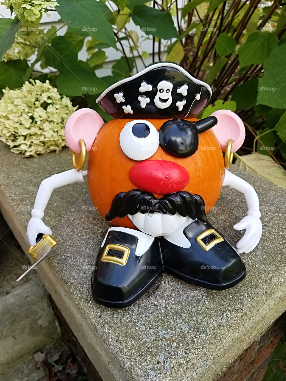 Mr. Potato Head Pumpkin