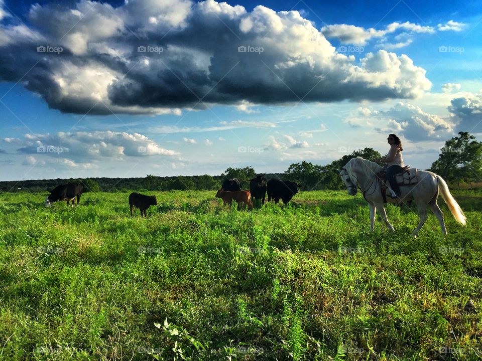 Texas Afternoon