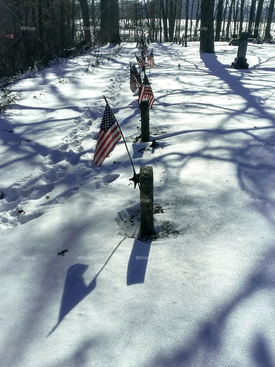 Veterans Memorial Flags