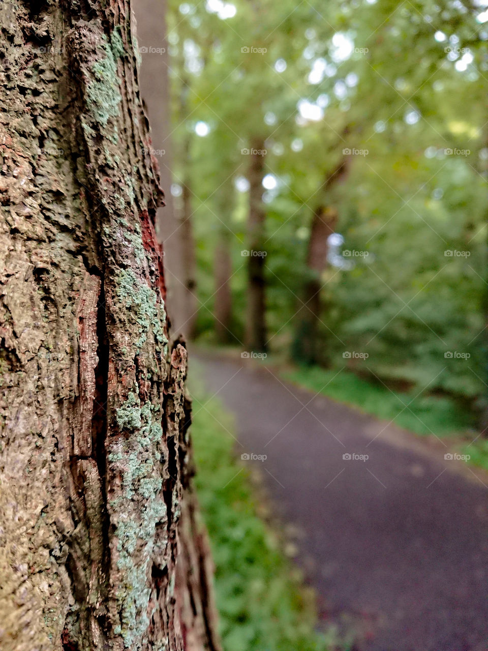 On the pathway to success.