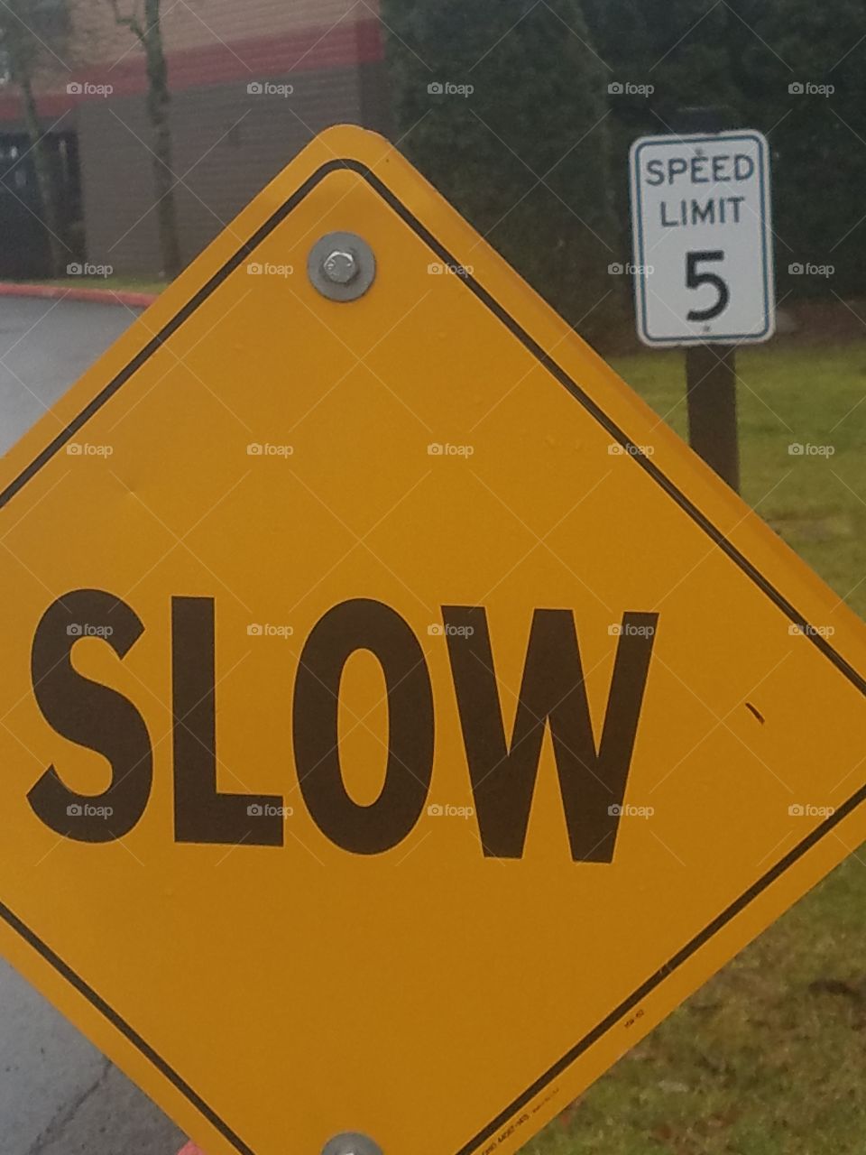 Slow Yellow Sign