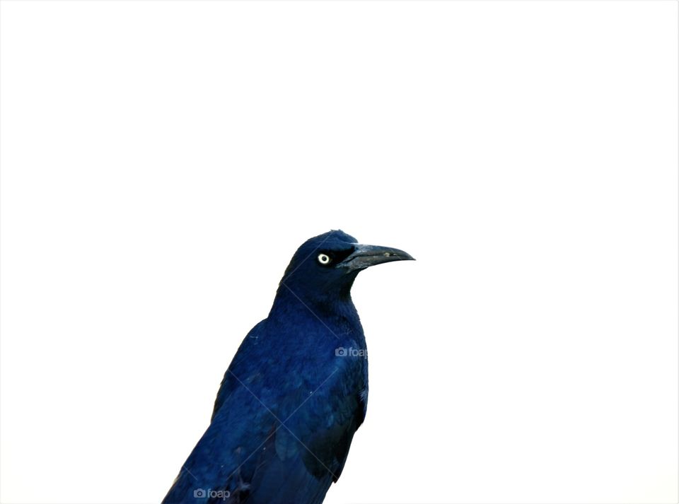 playing with the camera